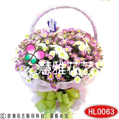 小雛菊花籃 一抹淡雅花語(yǔ)，織就你心動(dòng)瞬間的生活序詩(shī)